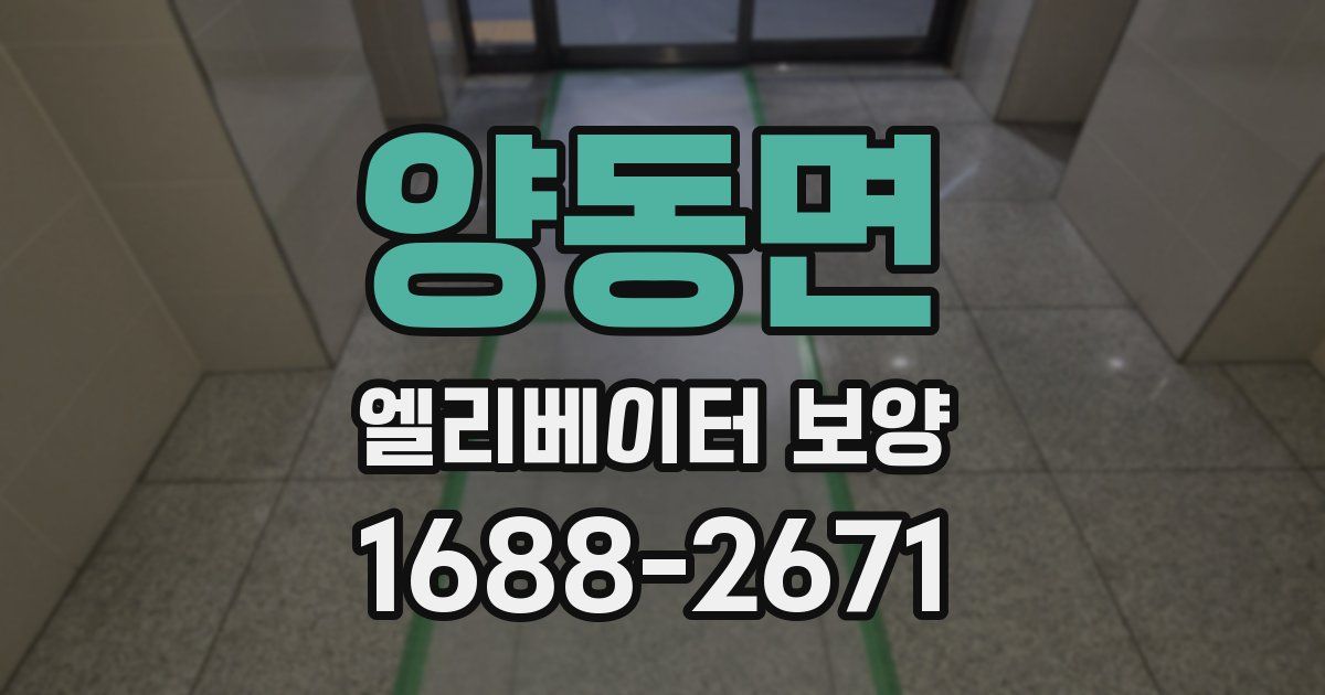 양동면 엘리베이터 보양