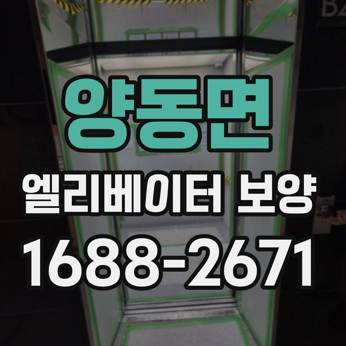 양동면 엘리베이터 보양