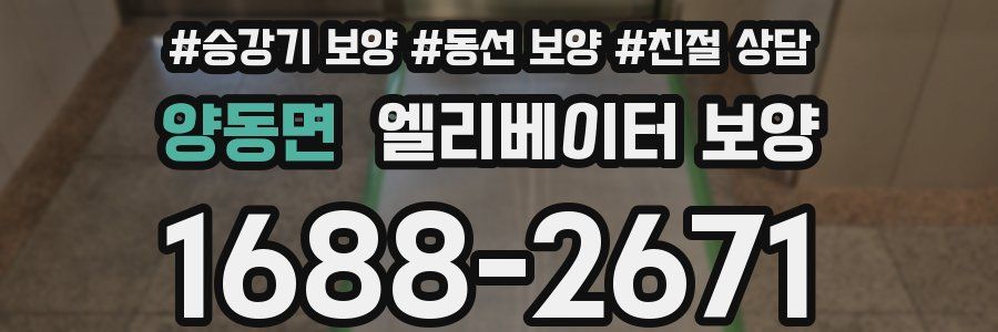 양동면 엘리베이터 보양