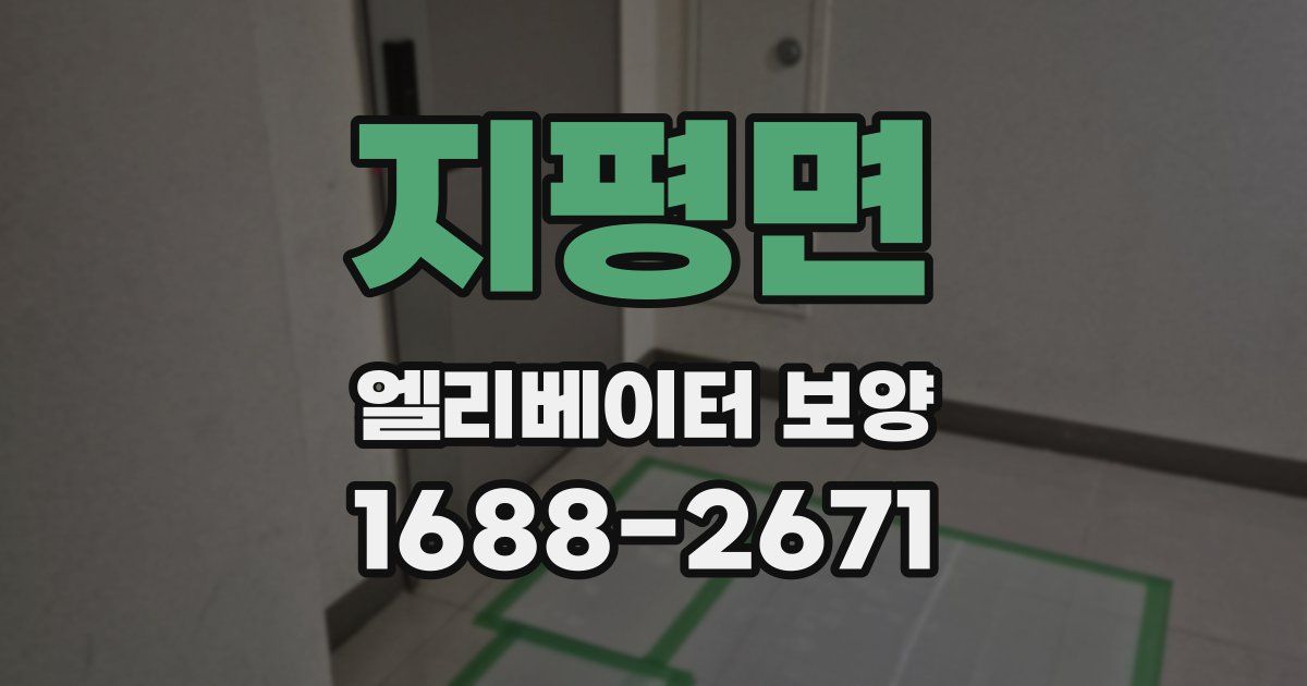 지평면 엘리베이터 보양