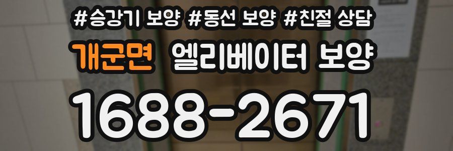 개군면 엘리베이터 보양