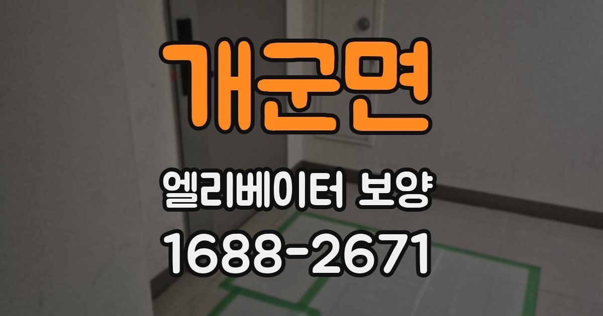 개군면 엘리베이터 보양