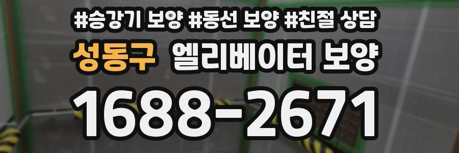 성동구 엘리베이터 보양