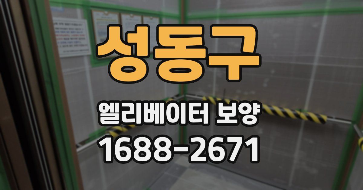 성동구 엘리베이터 보양