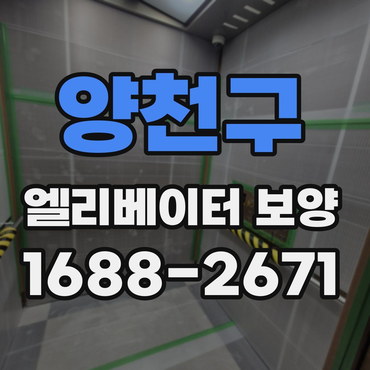 양천구 엘리베이터 보양
