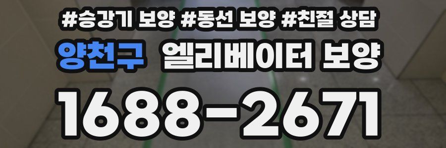 양천구 엘리베이터 보양