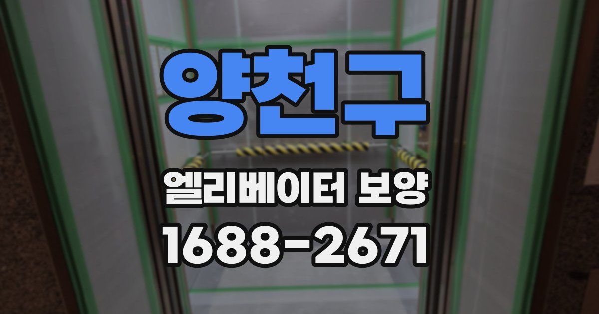 양천구 엘리베이터 보양