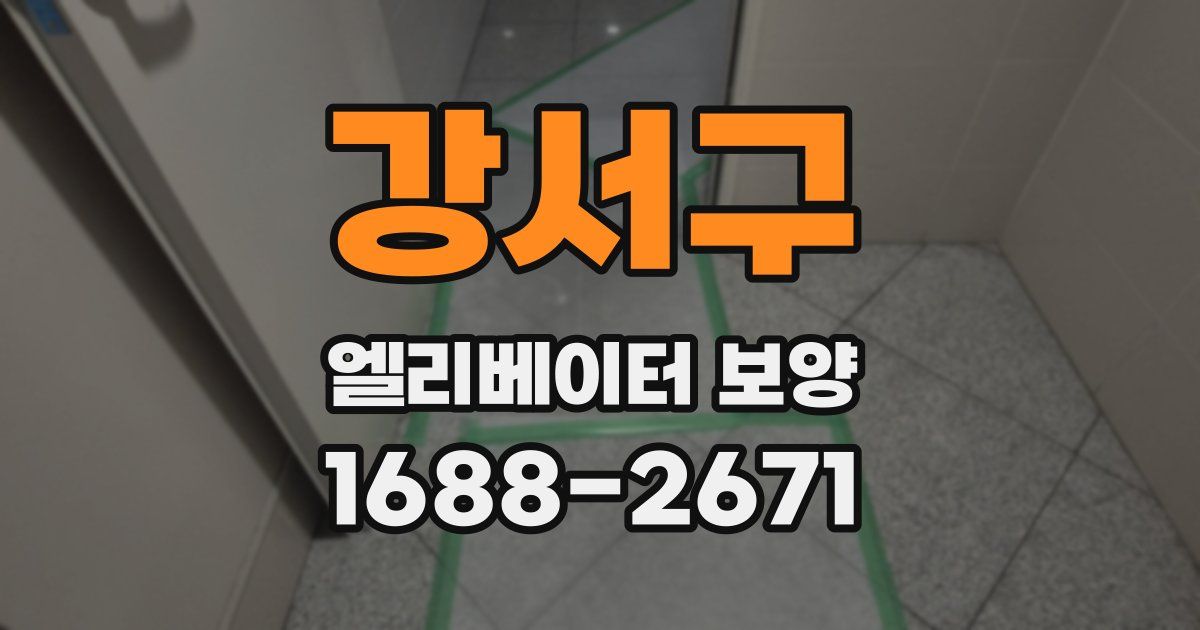 강서구 엘리베이터 보양