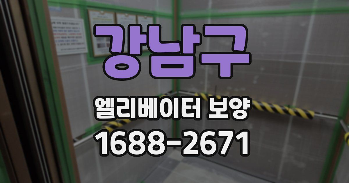 강남구 엘리베이터 보양