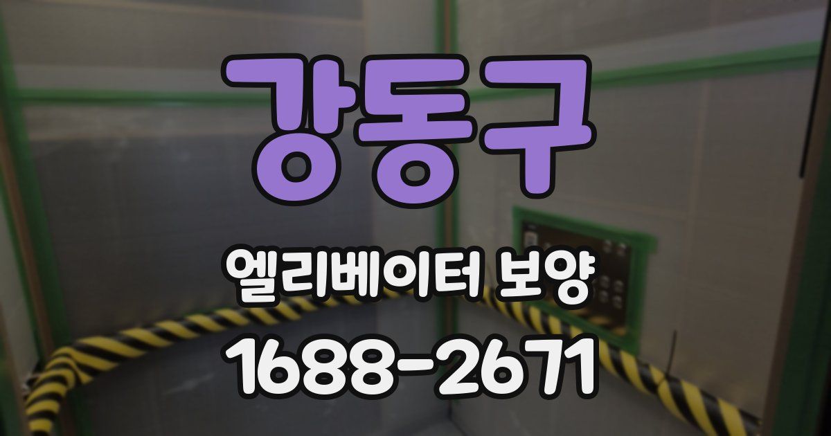 강동구 엘리베이터 보양