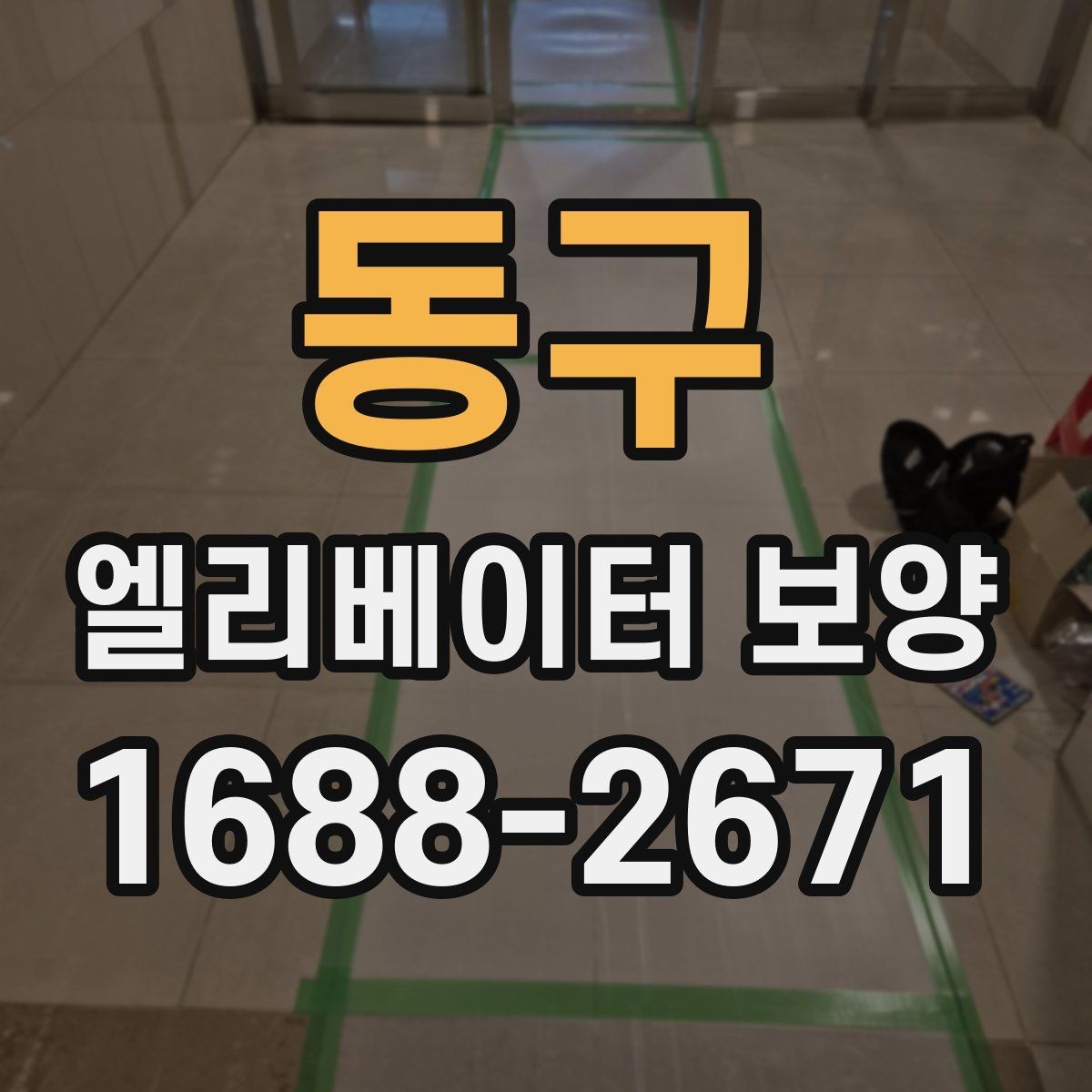 동구 엘리베이터 보양 종류별 특징과 활용 상황