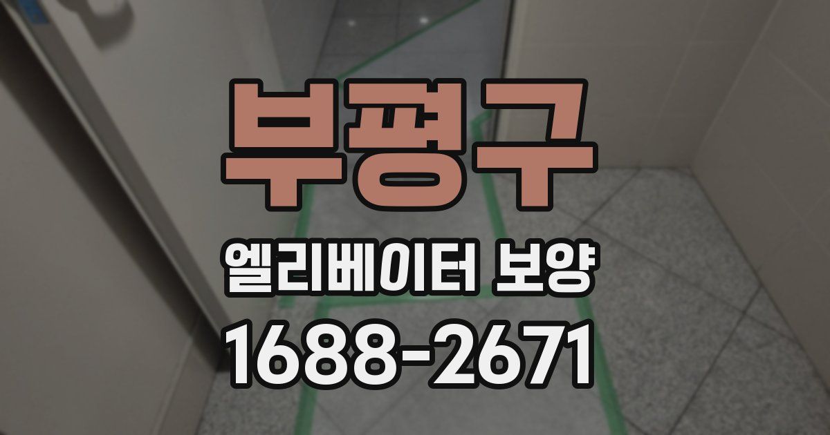 부평구 엘리베이터 보양