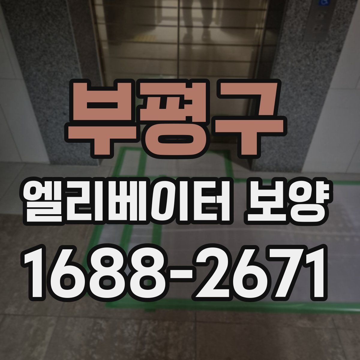 부평구 엘리베이터 보양