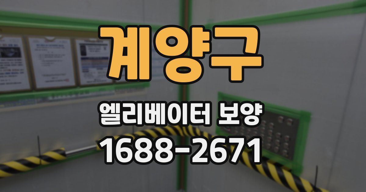 계양구 엘리베이터 보양