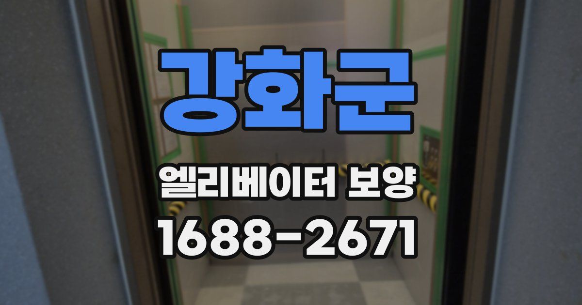 강화군 엘리베이터 보양