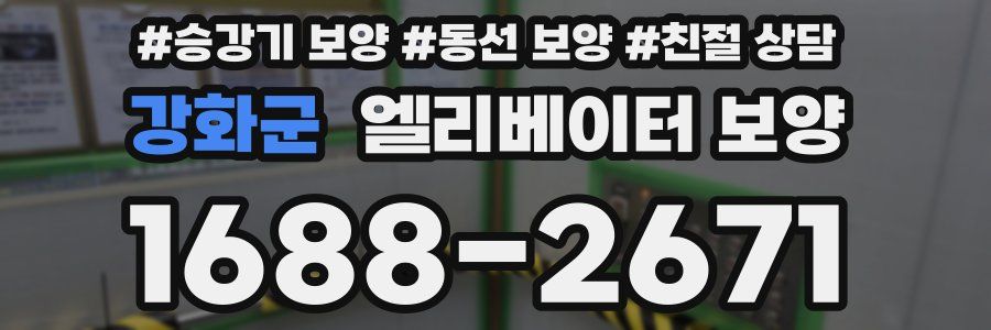 강화군 엘리베이터 보양