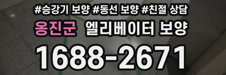 옹진군 엘리베이터 보양