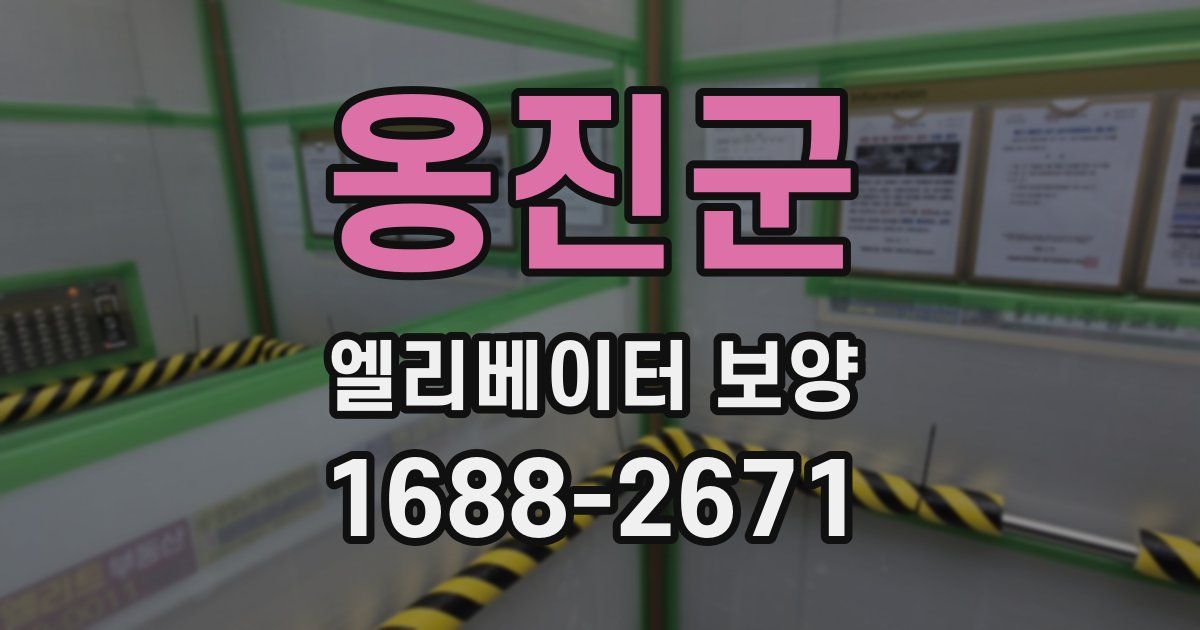 옹진군 엘리베이터 보양