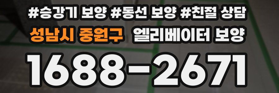 성남시 중원구 엘리베이터 보양