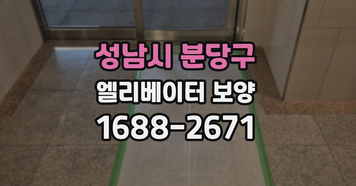 성남시 분당구 엘리베이터 보양