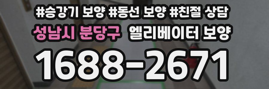 성남시 분당구 엘리베이터 보양