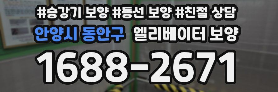 안양시 동안구 엘리베이터 보양