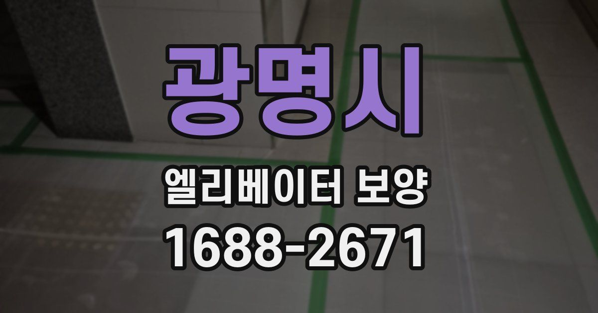광명시 엘리베이터 보양