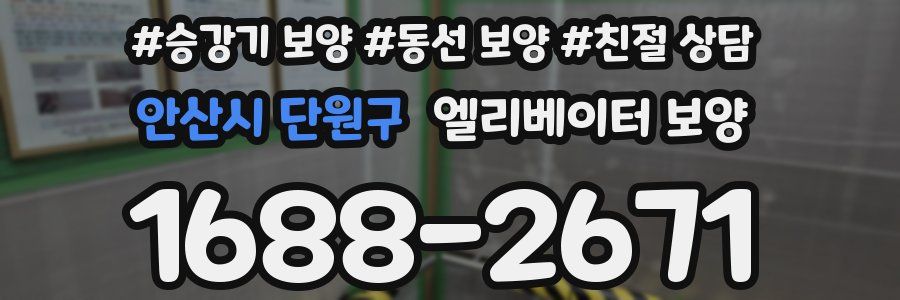 안산시 단원구 엘리베이터 보양