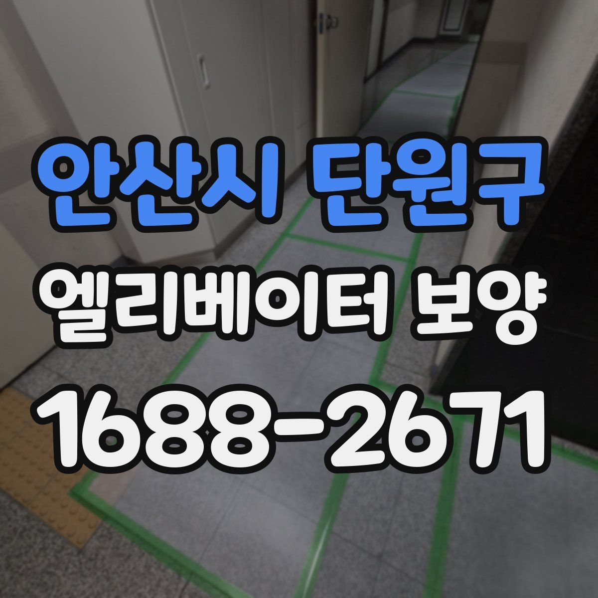 안산시 단원구 엘리베이터 보양