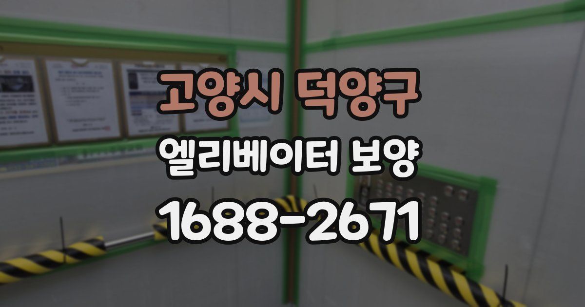 고양시 덕양구 엘리베이터 보양