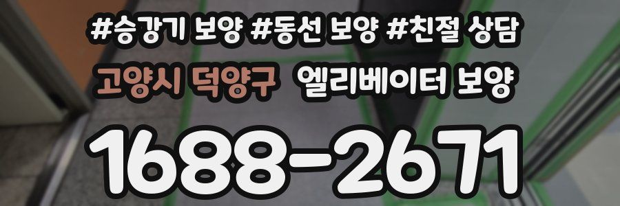 고양시 덕양구 엘리베이터 보양