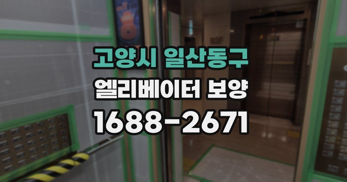 고양시 일산동구 엘리베이터 보양