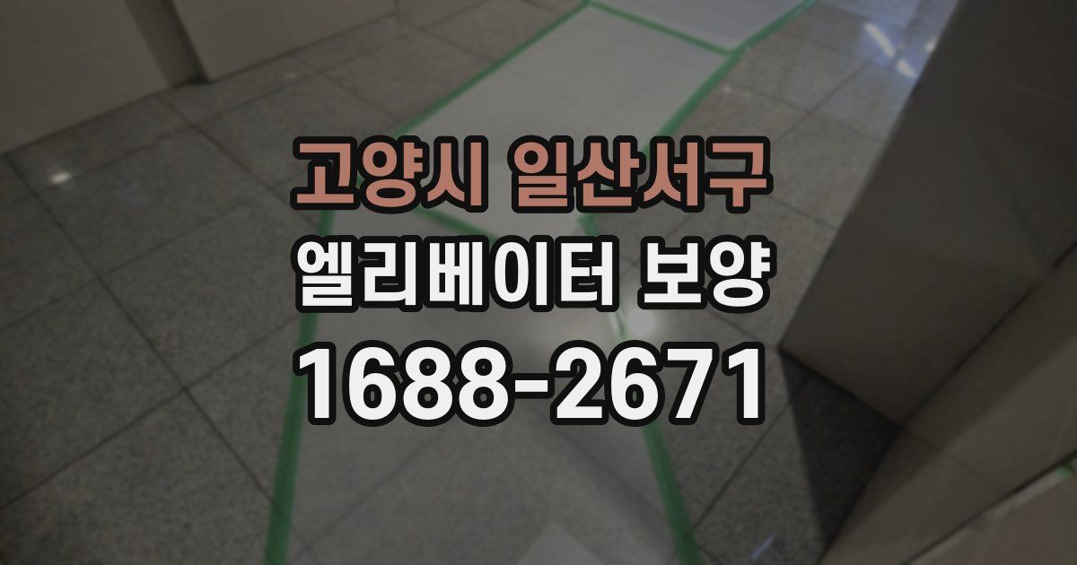 고양시 일산서구 엘리베이터 보양