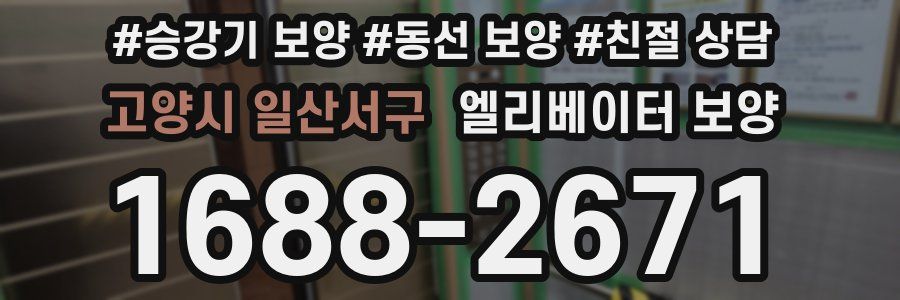 고양시 일산서구 엘리베이터 보양