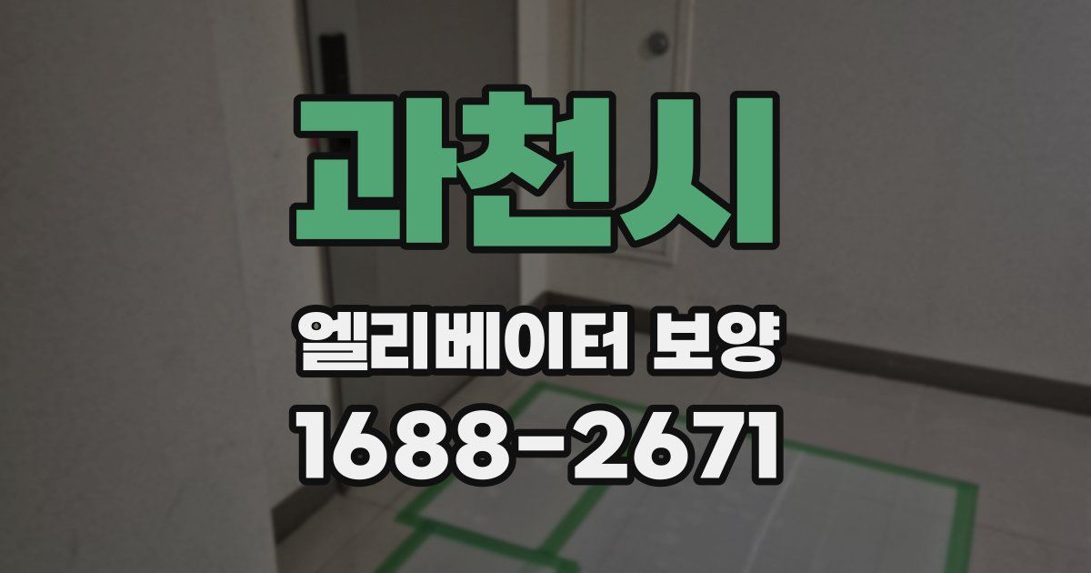 과천시 엘리베이터 보양