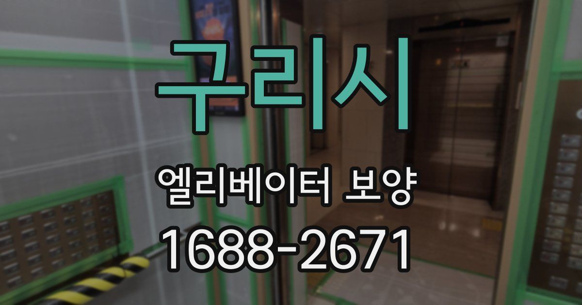 구리시 엘리베이터 보양