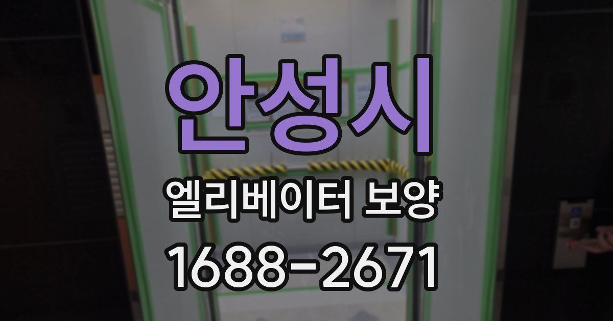 안성시 엘리베이터 보양