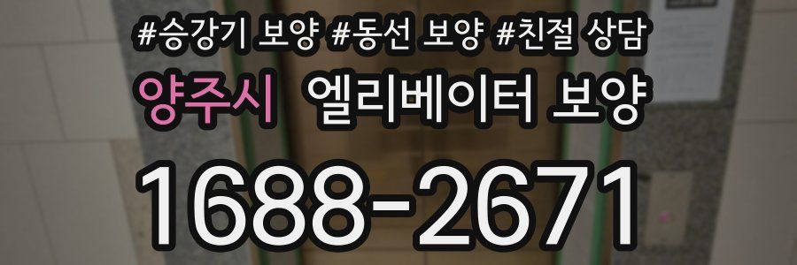 양주시 엘리베이터 보양