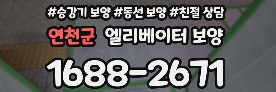 연천군 엘리베이터 보양