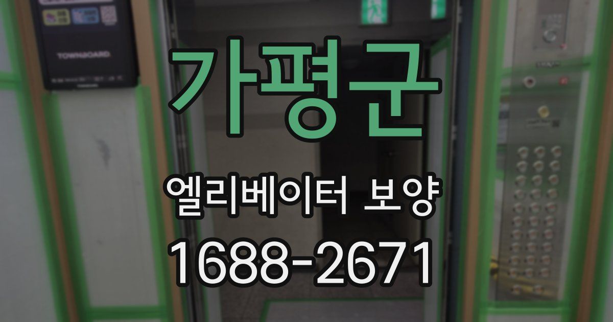 가평군 엘리베이터 보양