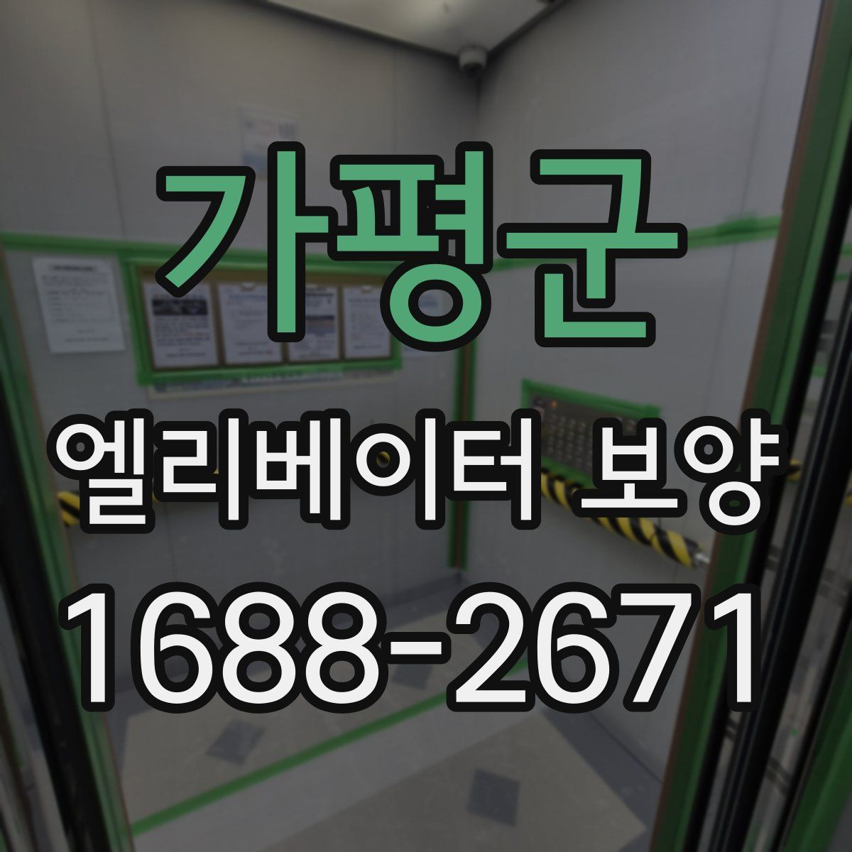 가평군 엘리베이터 보양