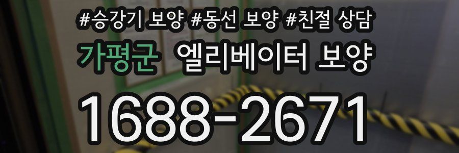 가평군 엘리베이터 보양