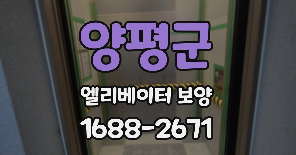 양평군 엘리베이터 보양