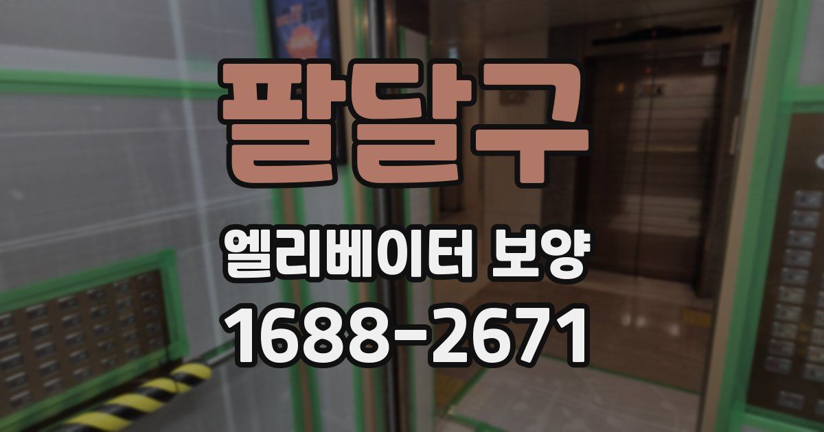 팔달구 엘리베이터 보양