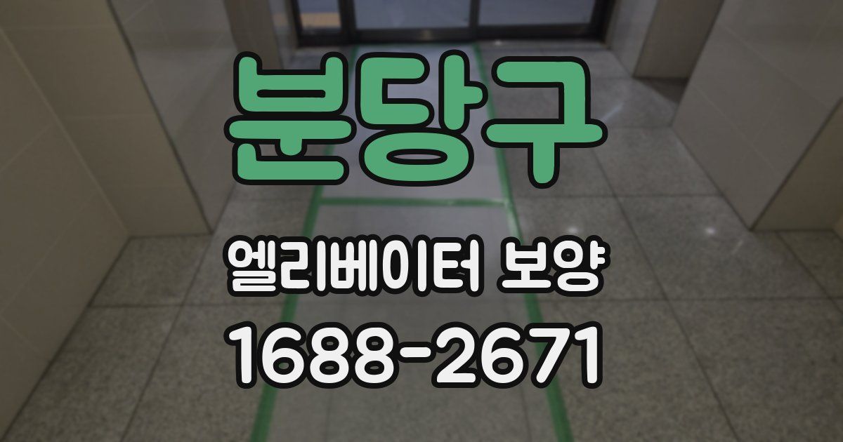 분당구 엘리베이터 보양