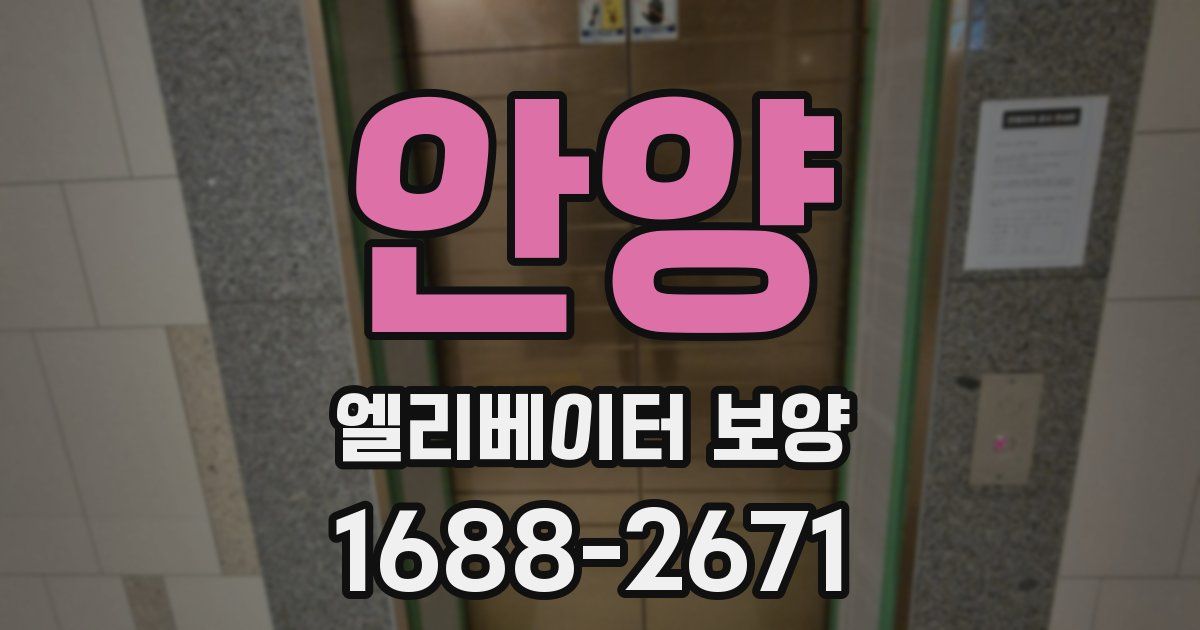 안양 엘리베이터 보양