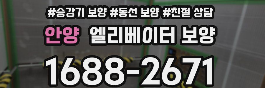 안양 엘리베이터 보양
