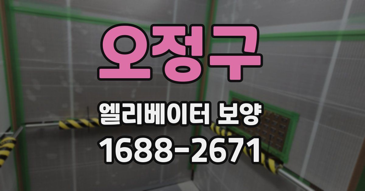 오정구 엘리베이터 보양