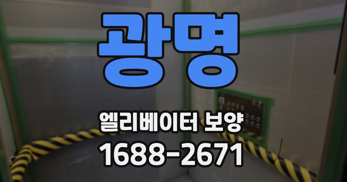 광명 엘리베이터 보양