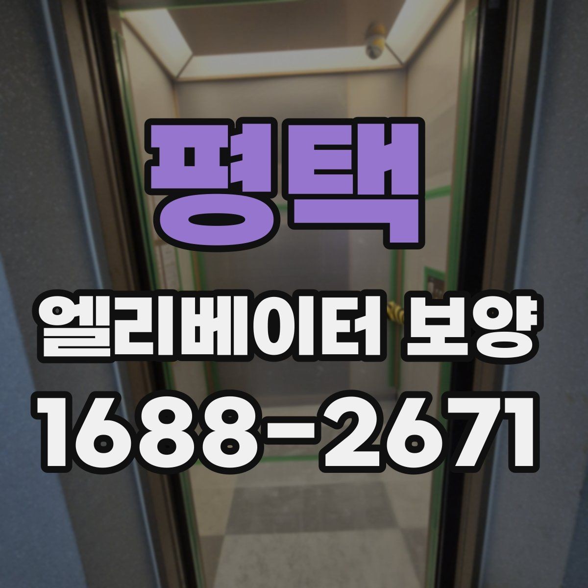 평택 엘리베이터 보양 범위는 어디까지 해야 할까